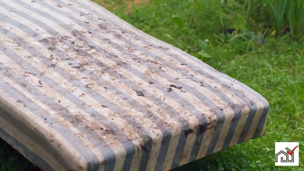 dirty box spring mattress